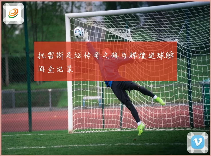 托雷斯足坛传奇之路与辉煌进球瞬间全记录