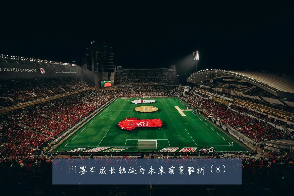 F1赛车成长轨迹与未来前景解析（8）
