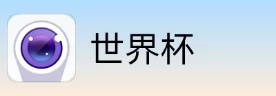世界杯买球网站